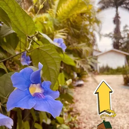 Bienvenidos A La Pequena Selva De Legnalife Villa Homestead Exterior photo