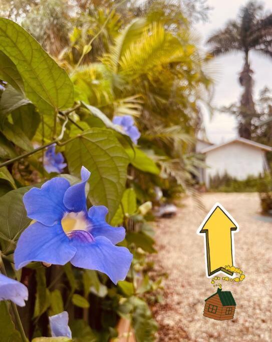 Holiday home Bienvenidos A La Pequena Selva De Legnalife