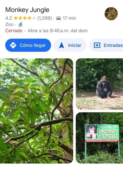Bienvenidos A La Pequena Selva De Legnalife * Homestead
