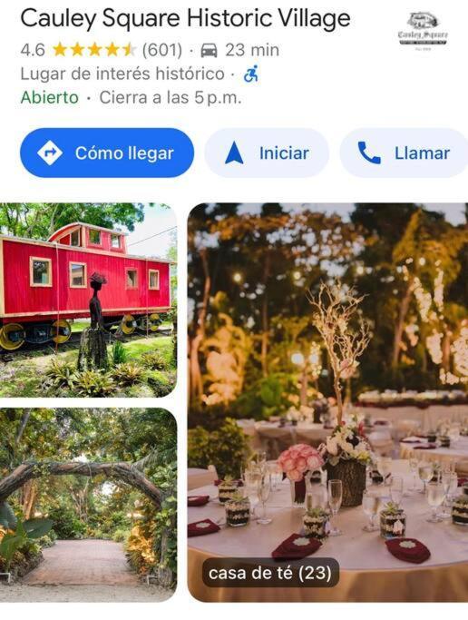 Bienvenidos A La Pequena Selva De Legnalife