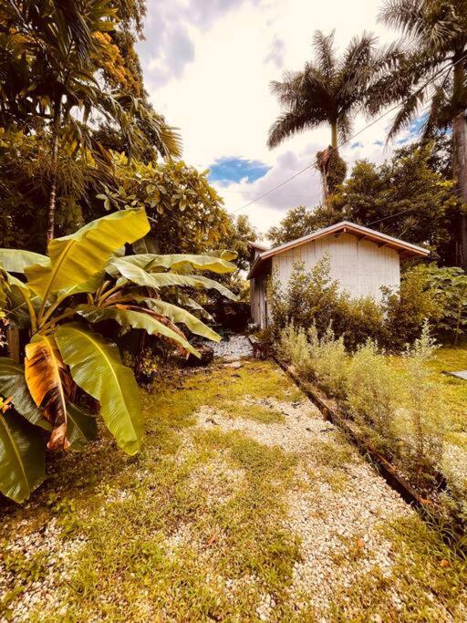 Holiday home Bienvenidos A La Pequena Selva De Legnalife