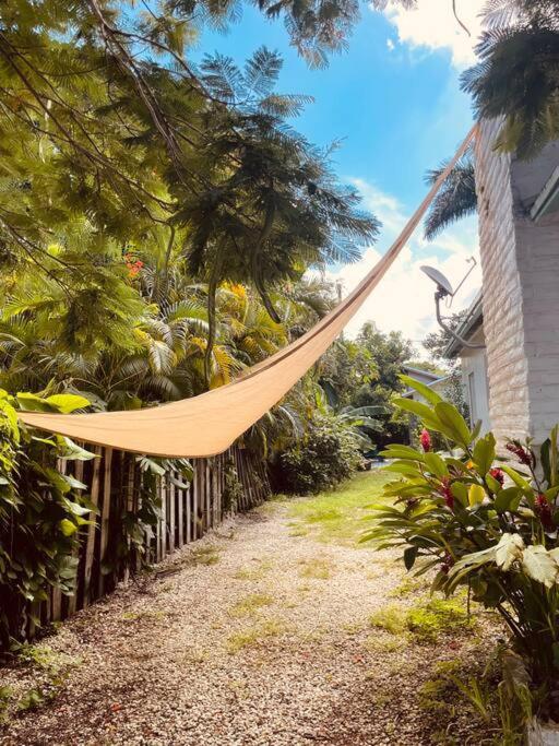 Bienvenidos A La Pequena Selva De Legnalife Homestead