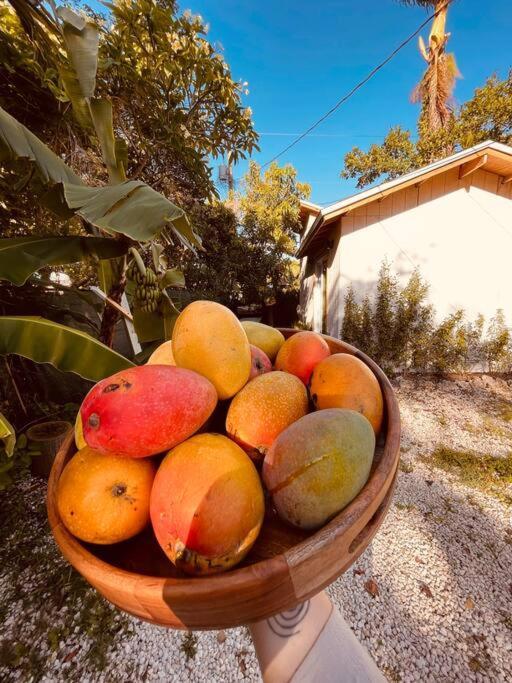 Bienvenidos A La Pequena Selva De Legnalife * Homestead